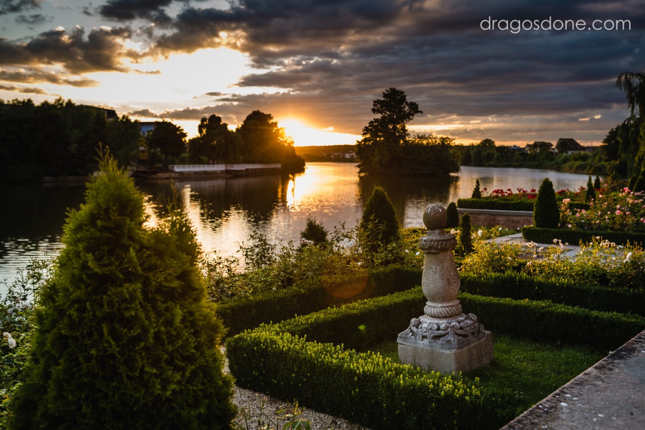 apus_mogosoaia_dragosdone.com