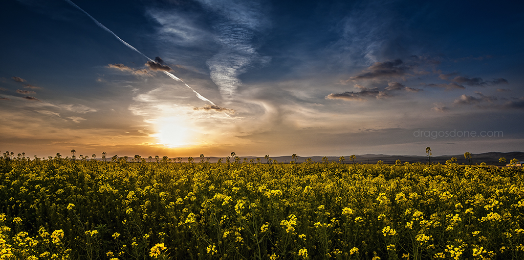 peisaj_cu_rapita_dragosdone.com