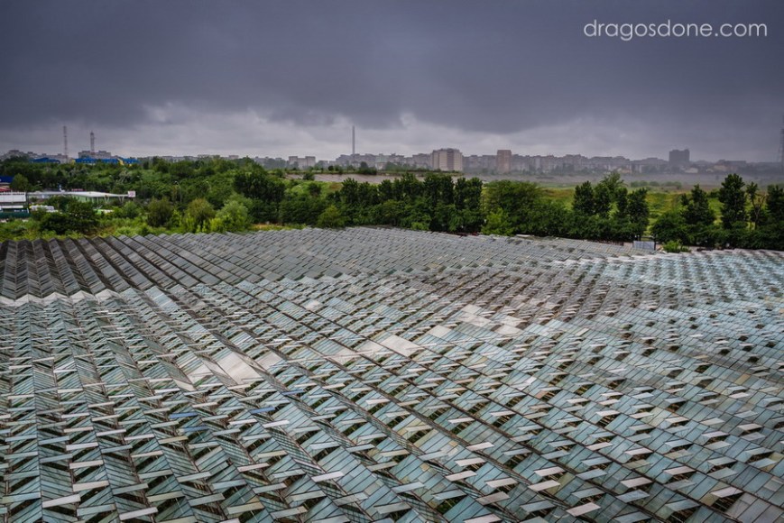 fotograf_nunta-bucuresti_039