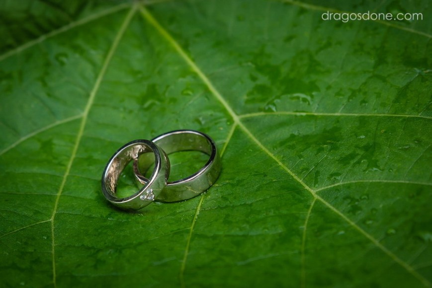 fotograf_nunta-bucuresti_061