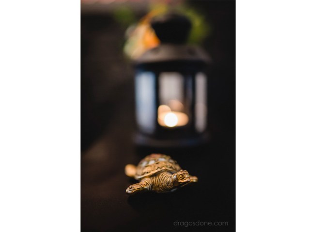 fotograf nunta ploiesti 009