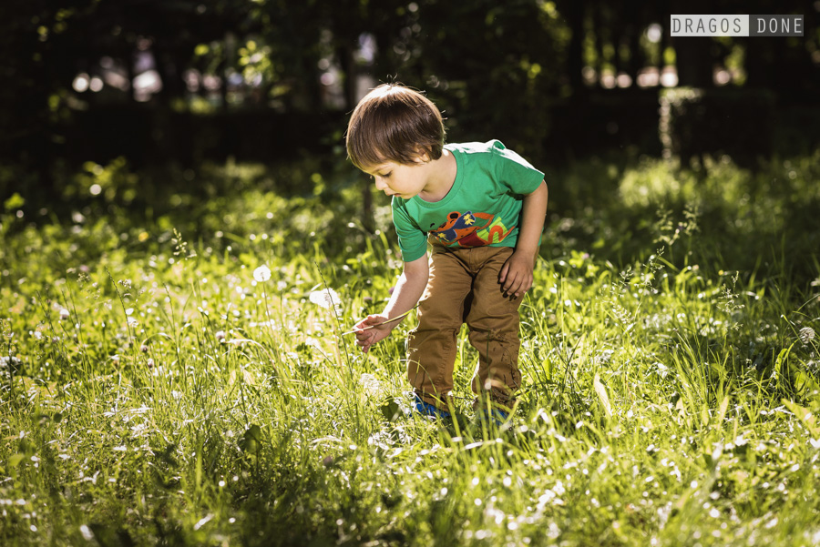 sedinta foto de familie ploiesti 016