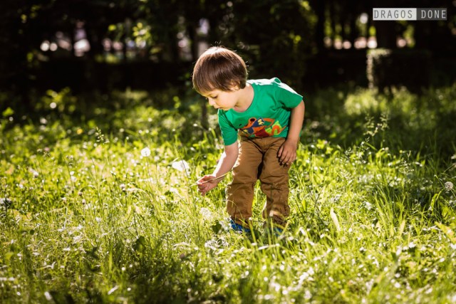 sedinta foto de familie ploiesti 016