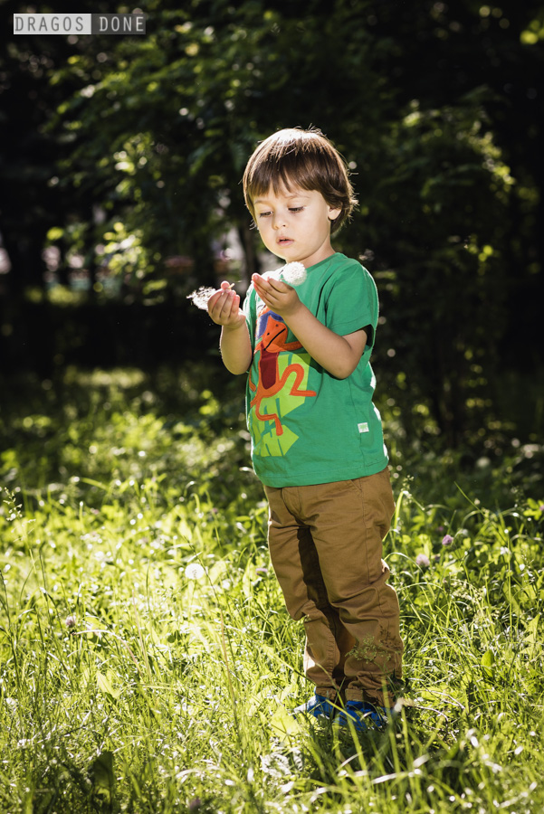 sedinta foto de familie ploiesti 017