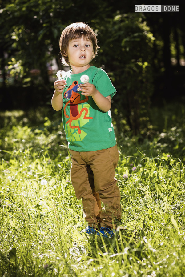 sedinta foto de familie ploiesti 018