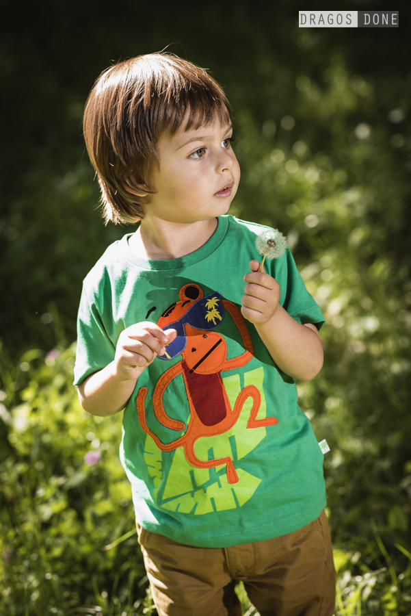 sedinta foto de familie ploiesti 019