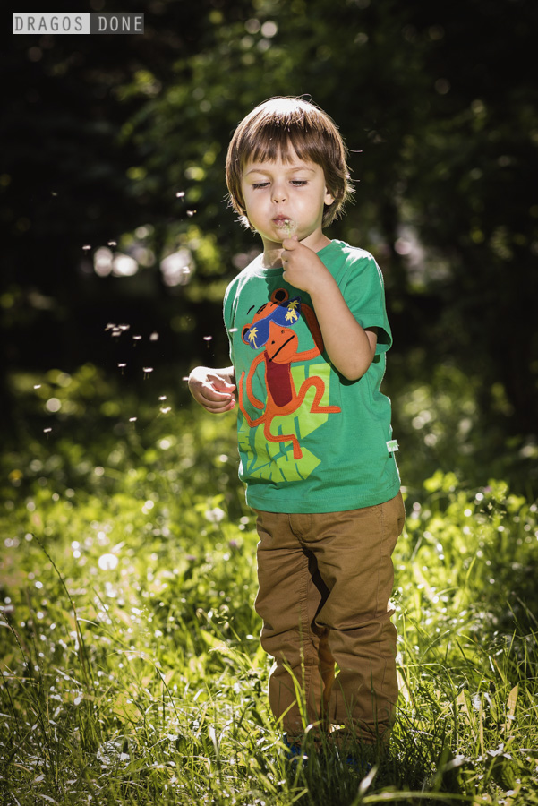 sedinta foto de familie ploiesti 022