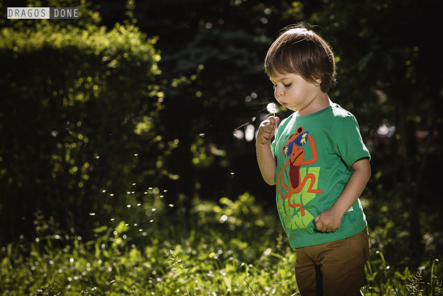 sedinta foto de familie ploiesti 023