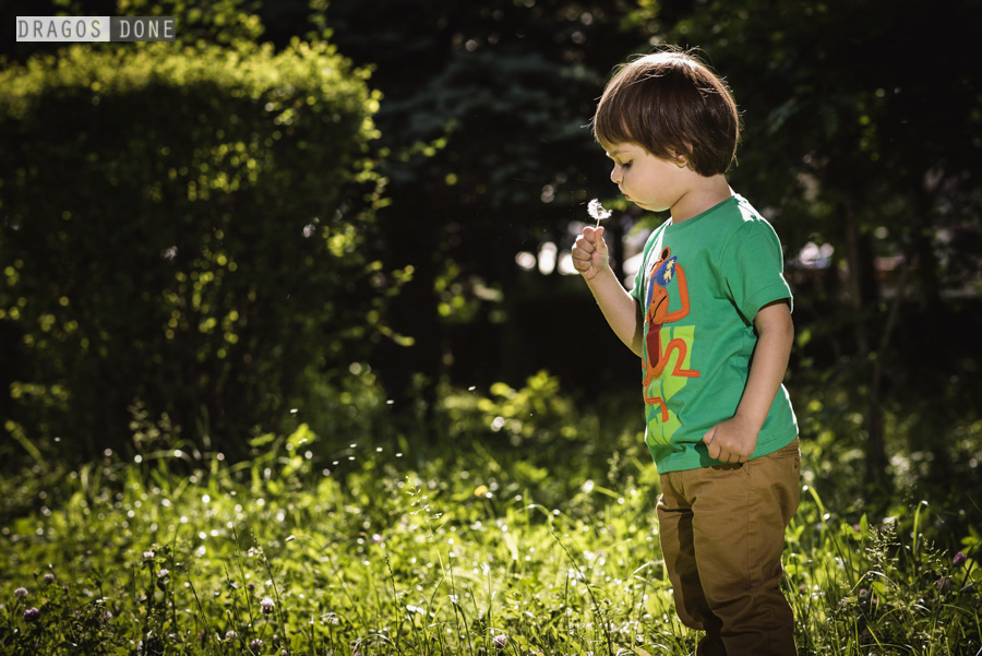 sedinta foto de familie ploiesti 024