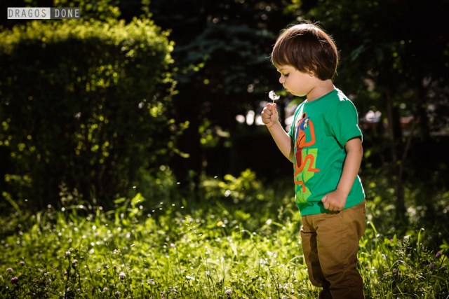 sedinta foto de familie ploiesti 024