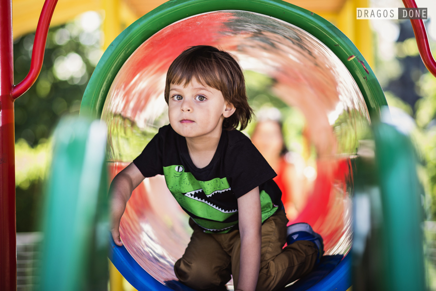 sedinta foto de familie ploiesti 035