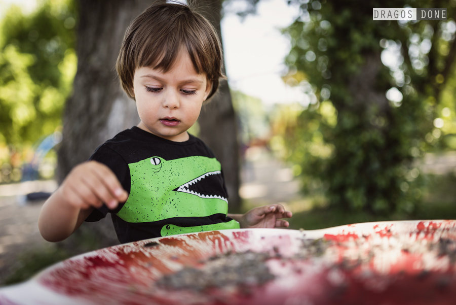 sedinta foto de familie ploiesti 042