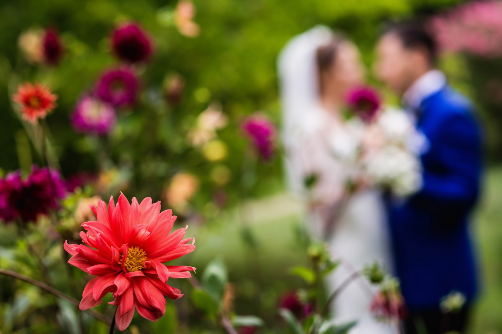 fotograf_nunta_bucuresti_037