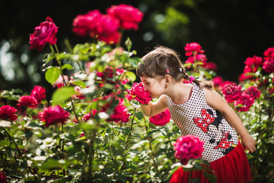 sedinta foto de familie bucuresti 005