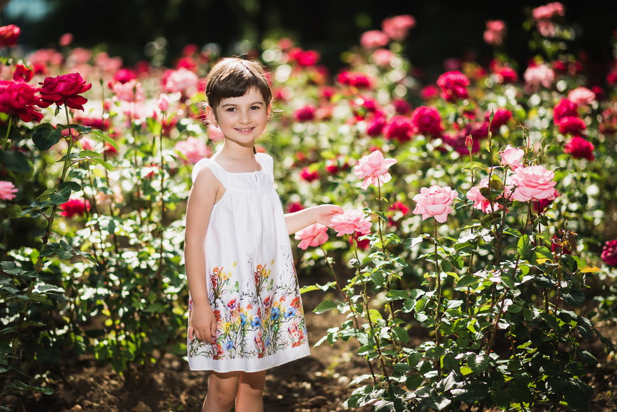 sedinta foto de familie bucuresti 007