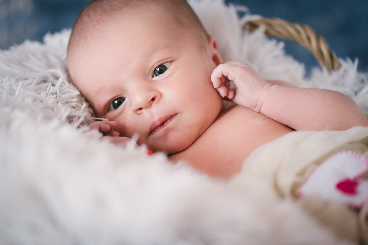 teaser_dragosdone-107