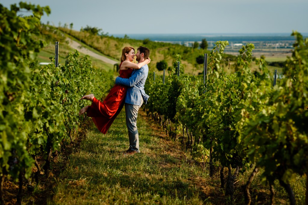 Ioana x Vlad | Cununia civilă | Casa&nbsp;Timiș